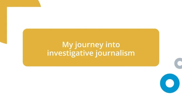 My journey into investigative journalism